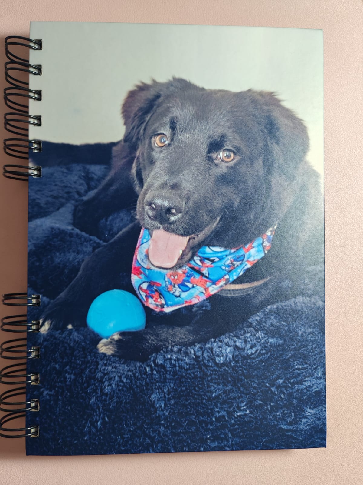 Cuadernos personalizados